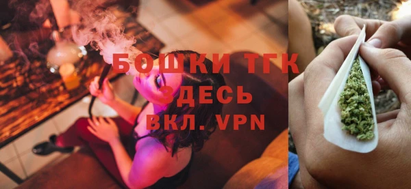 ешки Аркадак