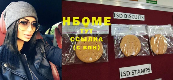 индика Баксан