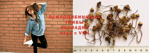 индика Баксан