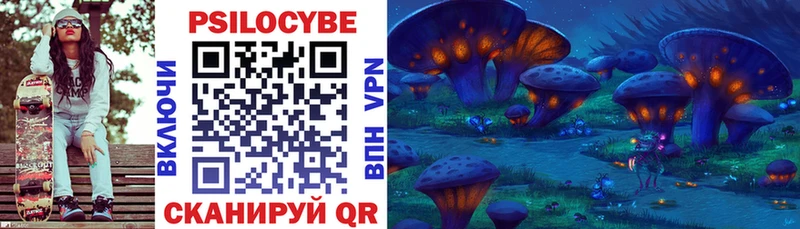 Галлюциногенные грибы Psilocybe  Купить закладки  Новоалтайск 